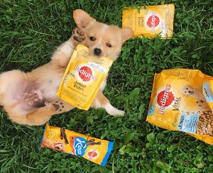 sab u ruxandra daria