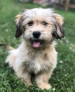 morariu elena natalia