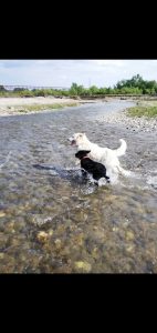 marin tefan lauren iu