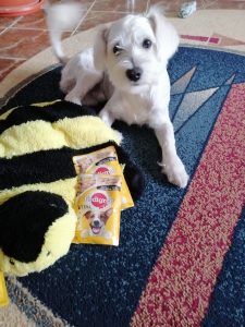 niculae m d lina oana